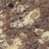 Cacao 0015